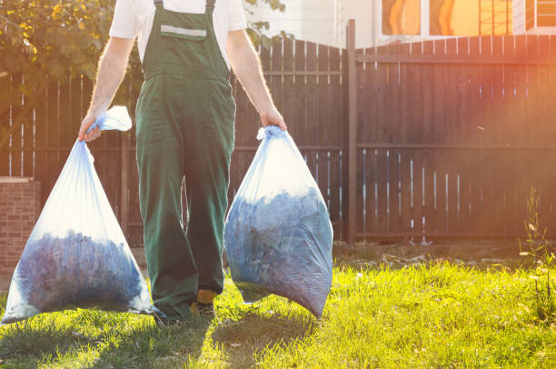 Best Junk Hauling Services  in New Baltimore, MI